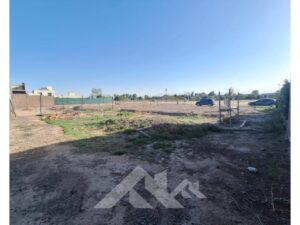 lote en santa lucia san juan